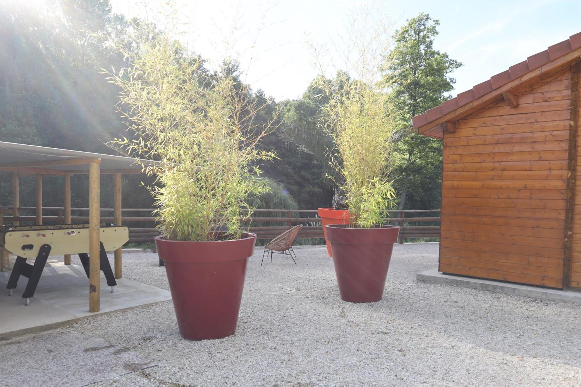 Les Chalets Du Marais Saint-Pierre-Aigle ภายนอก รูปภาพ